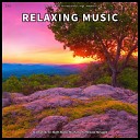 Relaxing Music for Deep Sleep Yoga Ambient - Healing Music for Sleeping