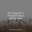 Deep Relaxation Meditation Academy Pro Sound Effects Library Mindfulness Meditation… - Time for Sleep