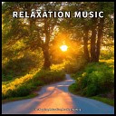 Soothing Music Relaxing Music Meditation… - Fantastic Background Music for the Bedroom