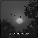 Seylonit Haguro - Птицы улетают на юг