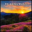 Relaxing Music for Dogs Relaxing Music… - Fantastic Healing Music Sleep Trigger
