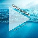 Sea Sounds for Relaxation and Sleep Ocean Sounds Nature… - Asmr Ambience for Cats