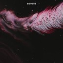 Coyote Mx - Ist das Techno Original Mix