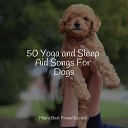Music for Calming Dogs Relaxation Music For Dogs Jazz Music Therapy for… - Windy Waves