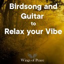 Wings of Peace - Birdsong and Guitar to Relax Your Vibe