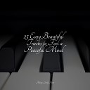 Spa Brainwave Entrainment Instrumental Piano Universe Chilout Piano… - Forest Symphony