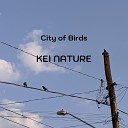 KEI NATURE - Sunrise City