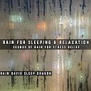 Rain David Sleep Dragon - Sound of Rain to Relax Pt 62