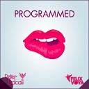 Peter Bacall Felix Voya - Programmed To Be Perfect Extended Mix