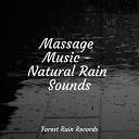 Sound Healing Center Nature Sounds for Sleep and Relaxation Nature… - Beach Waves Lapping Medium
