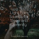 Deep Sleep Elements of Nature Lullaby Babies - Gentle Rain Drops