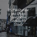 Musique Zen Garden Mother Nature Sound FX Kinderlieder… - Rainy Stormy Night