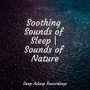Calming Sounds Relaxing Mindfulness Meditation Relaxation Maestro Sounds of Nature White Noise Sound… - Streams of Zen