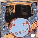 GRASSFOOT - Analyze