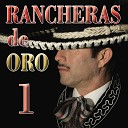 Mariachi Mexico Jalisco - Amargo Adios