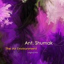 Ant Shumak - The Air Environment