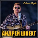 Андрей Шпехт - Падала звезда