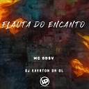 Mc DDSV Dj Everton da Ol - Flauta do Encanto