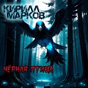 Кирилл Марков - Черная птица