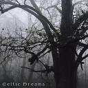 Sleeping Music Zone Insomnia Music Universe - Celtic Rituals