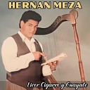 Hern n Meza - Licor Cigarro y Guayabo