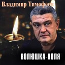 Владимир Тимофеев - Возвращение