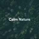 Nature Sounds - Live
