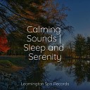 Yoga Workout Music Weather Factory Rising Higher… - Sleep Time