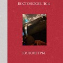 бостонские псы - километры