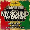 Jamie Irie Serial Killaz - My Sound Serial Killaz mix