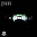Zygos - Future