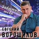 Евгений Ворошилов - Забыть тебя