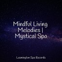 The White Noise Zen Meditation Sound Lab Sounds of Nature White Noise Sound Effects Best Relaxing SPA… - Calm Ocean Waves