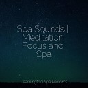 Massage Therapy Music Nature Soundscape Pure Serenity Spa Music Massage Collective Garden Zen Relaxation… - Ambient Textures
