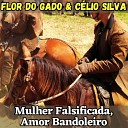 Flor do Gado C lio Silva - Cavalo Cacete