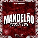 DJ PKZS MC MARCELO SDS - Mandel o Evolutivo