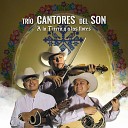 Tr o Cantores del Son - A Nicandro Castillo