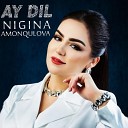 Nigina Amonqulova - Ay Dil