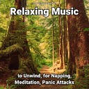 Sleep Music Relaxing Music Yoga - Fantastic Zen Music for Serene Sleep