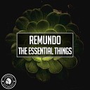 Remundo - The Essential Things Extended Mix