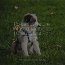 Calming Music for Dogs Dog Music Dog Music… - Calmness