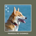 Dog Anxiety Relief - Hopeful Dusk