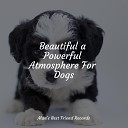 Calming Music for Dogs Music for Dogs Collective… - Feeling Sheltered