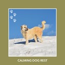 Relaxing Dog Music - Starry Pup Sleep Ambience