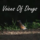 Debanjan Dey - Voices Of Drugs 1