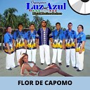 Organizaci n Luz Azul - La Tuna De Chavy