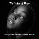 Evangelist Godswill C C Iheonunekwu feat Sis Goodness Bright Evangelist Victor Samuel Bro Wisdom… - In This World We Are