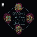 Dragan alina Quartet - Tesla