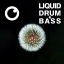 Dreazz - Liquid Drum Bass Sessions 51