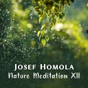 Josef Homola - Focused Ambient Ocean